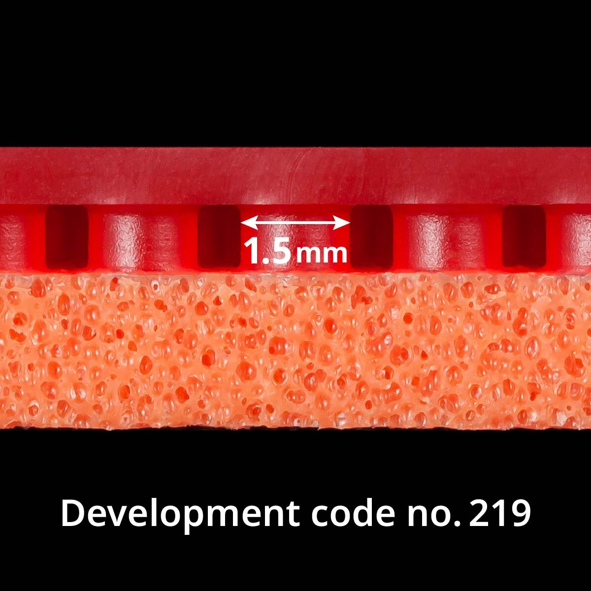 Tenergy 19: Close-up of 1.5mm pip size